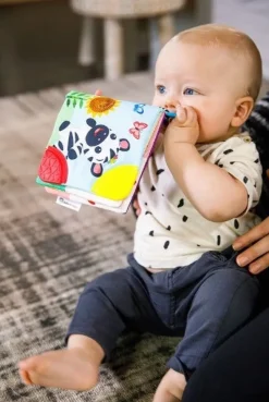 Baby Einstein Curious Explorers Teether Book Best