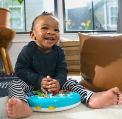 Baby Einstein Discover & Play Piano Musical Toy Outlet