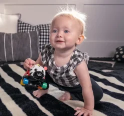 Oball Baby Einstein Curious Car Zen Toy Car & Rattle Sale