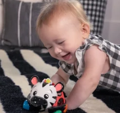 Oball Baby Einstein Curious Car Zen Toy Car & Rattle Sale