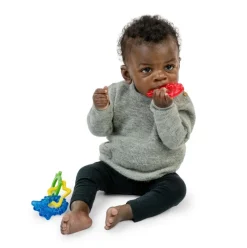 Baby Einstein Ocean Explorers Cool Critters Teether Toy Set Best