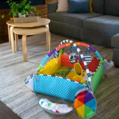 Baby Einstein Patch's 5-in-1 Colour Playspace Ball Pit & Activity Gym Outlet