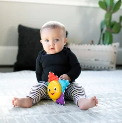 Baby Einstein Star Bright Symphony Take-Along Toy Sale