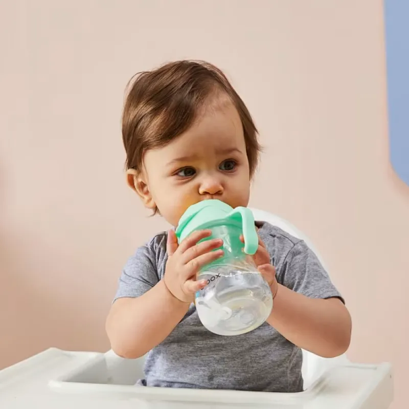 b.box bbox Sippy Cup V2 Pistachio 240ml Online