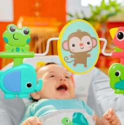 Bright Starts Playful Paradise Vibrating Bouncer Best