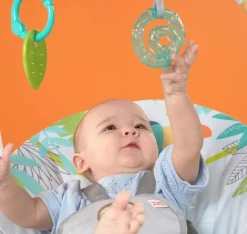 Bright Starts Rainforest Vibes Portable Swing Best
