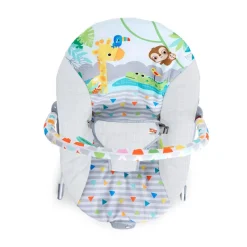 Bright Starts Safari Fun Vibrating Bouncer Online