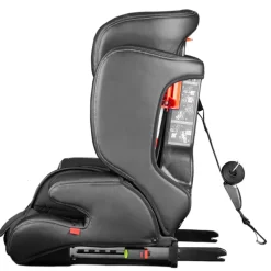 Cozy n Safe Hudson Booster Seat Sale