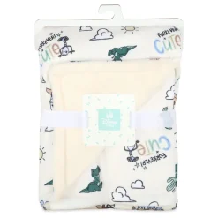 Disney Baby Toy Story Velour Blanket Outlet