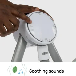 Ingenuity AnyWay Sway Dual-Direction Portable Swing Ray Outlet
