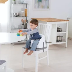Ingenuity Baby Base 2-in-1 Seat Slate Grey Fashion