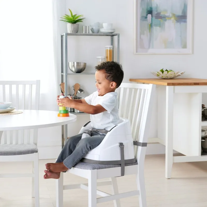Ingenuity Baby Base 2-in-1 Seat Slate Grey Fashion