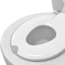 Ingenuity Flip & Sit Potty Seat Outlet