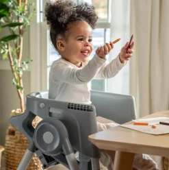 Ingenuity Proper Positioner 7-in-1 Highchair Parker Best
