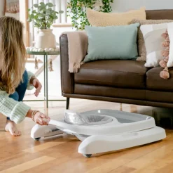 Ingenuity Step & Sprout 3-in-1 Activity Walker First Forest Discount