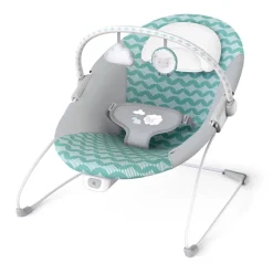Ingenuity Ity by Bouncity Bounce Vibrating Deluxe Bouncer Hot