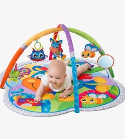 Playgro Clip Clop Musical Activity Gym Hot