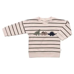 Ricochet Baby  Dinosaur  Sweatshirt Online