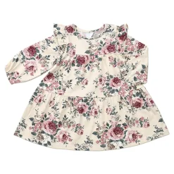 Ricochet Baby Frill Sleeve Dress Online