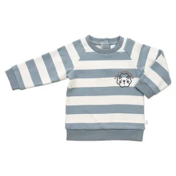 Ricochet Baby Little Kid Sweatshirt Sale