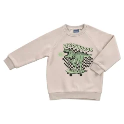 Ricochet Kids Everyday Sweatshirt Hot